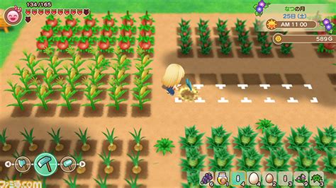 Understanding the Different Seasons and Weather in Harvest Moon: Magecal Mepody on Wii